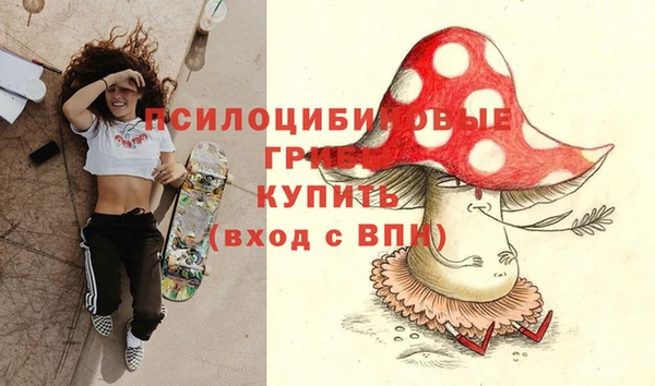 стафф Краснотурьинск
