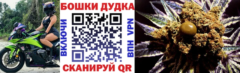 Конопля SATIVA & INDICA  Купить  Выборг 
